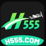 H555 Game