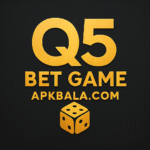 Q5 Game APK