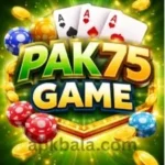 pak-75-game